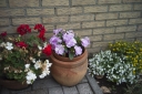 Filename=J12test02.jpg
Filesize=449KiB
Dimensions=800x532
Date added=Jul 01, 2020 J12test02.jpg