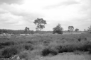 Filename=KBB2301.jpg
Filesize=348KiB
Dimensions=1024x681
Date added=Jul 23, 2023 KBB2301.jpg