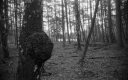 Filename=KT200906.jpg
Filesize=267KiB
Dimensions=800x500
Date added=Sep 27, 2020 KT200906.jpg