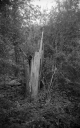 Filename=KT200910.jpg
Filesize=305KiB
Dimensions=500x800
Date added=Sep 27, 2020 KT200910.jpg
