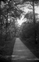 Filename=KT200926.jpg
Filesize=244KiB
Dimensions=500x800
Date added=Sep 27, 2020 KT200926.jpg