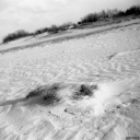 Filename=KT220105.jpg
Filesize=560KiB
Dimensions=1024x1024
Date added=Jan 30, 2022 KT220105.jpg