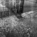 Filename=KV201202.jpg
Filesize=454KiB
Dimensions=800x800
Date added=Dec 21, 2020 KV201202.jpg