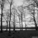 Filename=KV201205.jpg
Filesize=470KiB
Dimensions=800x800
Date added=Dec 21, 2020 KV201205.jpg