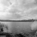 Filename=KV201208.jpg
Filesize=372KiB
Dimensions=800x800
Date added=Dec 21, 2020 KV201208.jpg