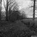 Filename=KV201209.jpg
Filesize=472KiB
Dimensions=800x800
Date added=Dec 21, 2020 KV201209.jpg