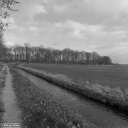 Filename=KV201210.jpg
Filesize=372KiB
Dimensions=800x800
Date added=Dec 21, 2020 KV201210.jpg