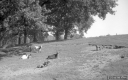 Filename=L1200608.jpg
Filesize=300KiB
Dimensions=800x500
Date added=Jun 07, 2020 L1200608.jpg