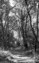 Filename=L1200611.jpg
Filesize=336KiB
Dimensions=500x800
Date added=Jun 07, 2020 L1200611.jpg