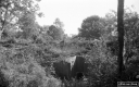 Filename=L1200612.jpg
Filesize=312KiB
Dimensions=800x500
Date added=Jun 07, 2020 L1200612.jpg