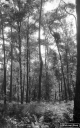 Filename=L1200614.jpg
Filesize=334KiB
Dimensions=500x800
Date added=Jun 07, 2020 L1200614.jpg