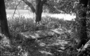 Filename=L1200615.jpg
Filesize=323KiB
Dimensions=800x500
Date added=Jun 07, 2020 L1200615.jpg