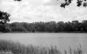 Filename=L1200624.jpg
Filesize=266KiB
Dimensions=800x500
Date added=Jun 07, 2020 L1200624.jpg