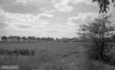 Filename=LE200516.jpg
Filesize=242KiB
Dimensions=816x500
Date added=May 18, 2020 LE200516.jpg