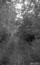 Filename=LE200517.jpg
Filesize=299KiB
Dimensions=500x800
Date added=May 18, 2020 LE200517.jpg