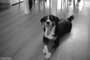 Filename=LG210517.jpg
Filesize=230KiB
Dimensions=800x532
Date added=May 30, 2021 LG210517.jpg