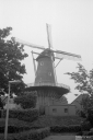 Filename=LG210520.jpg
Filesize=269KiB
Dimensions=532x800
Date added=May 30, 2021 LG210520.jpg