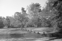 Filename=LG210525.jpg
Filesize=309KiB
Dimensions=800x532
Date added=May 30, 2021 LG210525.jpg