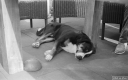 Filename=LI210707.jpg
Filesize=253KiB
Dimensions=800x500
Date added=Jul 06, 2021 LI210707.jpg