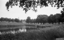 Filename=LI210714.jpg
Filesize=292KiB
Dimensions=800x500
Date added=Jul 06, 2021 LI210714.jpg