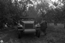 Filename=LK230927.jpg
Filesize=492KiB
Dimensions=1024x681
Date added=Oct 05, 2023 LK230927.jpg