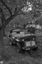 Filename=LK230929.jpg
Filesize=511KiB
Dimensions=681x1024
Date added=Oct 05, 2023 LK230929.jpg