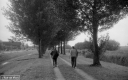 Filename=LR201003.jpg
Filesize=288KiB
Dimensions=800x500
Date added=Oct 11, 2020 LR201003.jpg