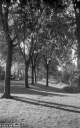 Filename=LR201009.jpg
Filesize=317KiB
Dimensions=500x800
Date added=Oct 11, 2020 LR201009.jpg