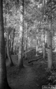 Filename=LR201017.jpg
Filesize=284KiB
Dimensions=500x800
Date added=Oct 11, 2020 LR201017.jpg