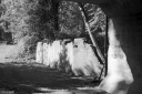 Filename=LR220503.jpg
Filesize=448KiB
Dimensions=1024x681
Date added=May 16, 2022 LR220503.jpg