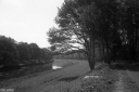 Filename=LR220509.jpg
Filesize=418KiB
Dimensions=1024x681
Date added=May 16, 2022 LR220509.jpg