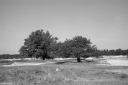 Filename=LR220511.jpg
Filesize=375KiB
Dimensions=1024x681
Date added=May 16, 2022 LR220511.jpg