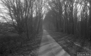 Filename=LT200101.jpg
Filesize=286KiB
Dimensions=800x500
Date added=Jan 05, 2020 LT200101.jpg