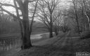 Filename=LT200112.jpg
Filesize=296KiB
Dimensions=800x500
Date added=Jan 05, 2020 LT200112.jpg