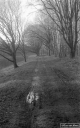 Filename=LT200113.jpg
Filesize=294KiB
Dimensions=500x800
Date added=Jan 05, 2020 LT200113.jpg