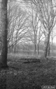Filename=LT200114.jpg
Filesize=322KiB
Dimensions=500x800
Date added=Jan 05, 2020 LT200114.jpg