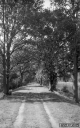 Filename=LT200504.jpg
Filesize=303KiB
Dimensions=500x800
Date added=May 24, 2020 LT200504.jpg