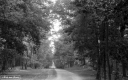 Filename=LT200602.jpg
Filesize=263KiB
Dimensions=800x500
Date added=Jun 21, 2020 LT200602.jpg