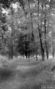 Filename=LT200604.jpg
Filesize=306KiB
Dimensions=500x800
Date added=Jun 21, 2020 LT200604.jpg