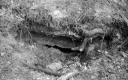 Filename=LT200606.jpg
Filesize=305KiB
Dimensions=800x500
Date added=Jun 21, 2020 LT200606.jpg