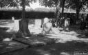 Filename=LT200621.jpg
Filesize=278KiB
Dimensions=800x500
Date added=Jun 21, 2020 LT200621.jpg