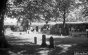 Filename=LT200622.jpg
Filesize=293KiB
Dimensions=800x500
Date added=Jun 21, 2020 LT200622.jpg
