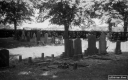 Filename=LT200625.jpg
Filesize=286KiB
Dimensions=800x500
Date added=Jun 21, 2020 LT200625.jpg