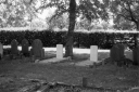 Filename=LT200626.jpg
Filesize=314KiB
Dimensions=800x532
Date added=Jun 21, 2020 LT200626.jpg