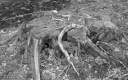Filename=LT210303.jpg
Filesize=333KiB
Dimensions=800x500
Date added=Mar 28, 2021 LT210303.jpg