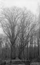 Filename=LT210304.jpg
Filesize=324KiB
Dimensions=500x800
Date added=Mar 28, 2021 LT210304.jpg