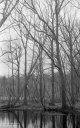 Filename=LT210306.jpg
Filesize=313KiB
Dimensions=500x800
Date added=Mar 28, 2021 LT210306.jpg