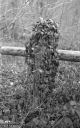 Filename=LT210309.jpg
Filesize=295KiB
Dimensions=500x800
Date added=Mar 28, 2021 LT210309.jpg