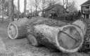 Filename=LT210312.jpg
Filesize=314KiB
Dimensions=800x500
Date added=Mar 28, 2021 LT210312.jpg
