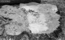 Filename=LT210313.jpg
Filesize=328KiB
Dimensions=800x500
Date added=Mar 28, 2021 LT210313.jpg